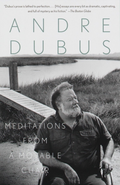 Book Cover for Meditations from a Movable Chair by Andre Dubus
