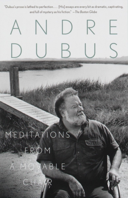 Book Cover for Meditations from a Movable Chair by Dubus, Andre