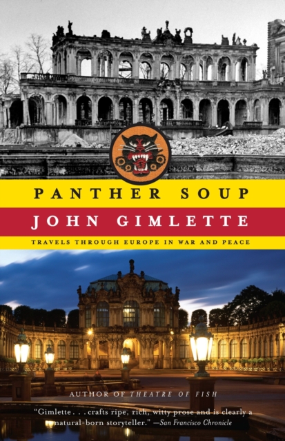 Book Cover for Panther Soup by John Gimlette