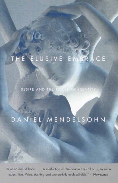 Book Cover for Elusive Embrace by Daniel Mendelsohn