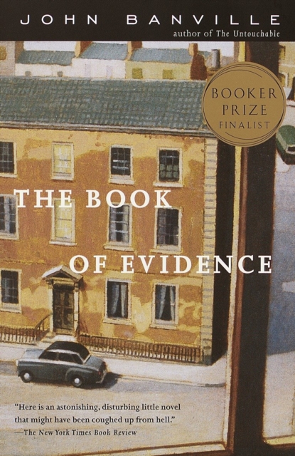 Book Cover for Book of Evidence by John Banville