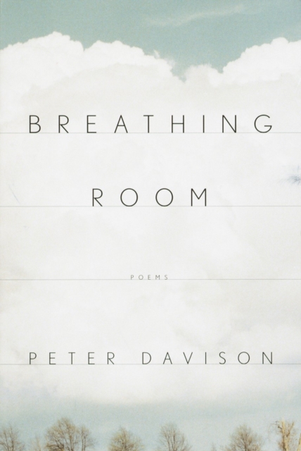 Book Cover for Breathing Room by Peter Davison