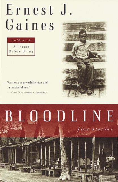 Book Cover for Bloodline by Ernest J. Gaines