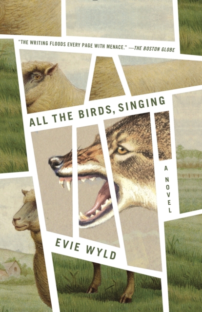 Book Cover for All the Birds, Singing by Wyld, Evie