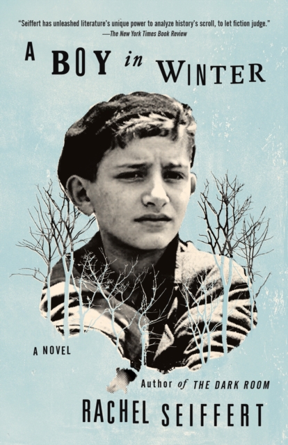 Book Cover for Boy in Winter by Rachel Seiffert