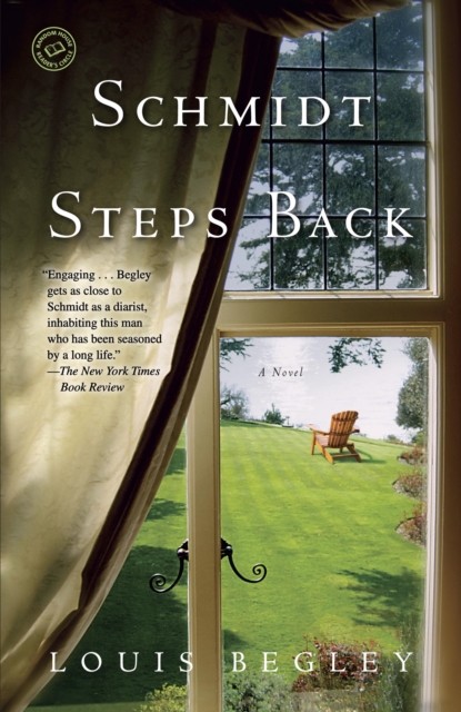 Book Cover for Schmidt Steps Back by Louis Begley