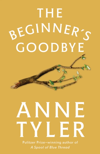 Beginner's Goodbye