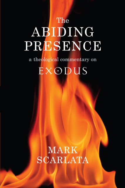 Book Cover for Abiding Presence by Mark Scarlata