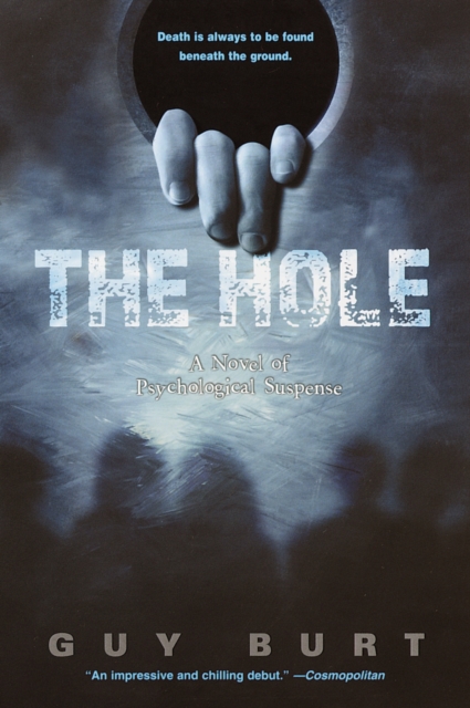 Book Cover for Hole by Guy Burt