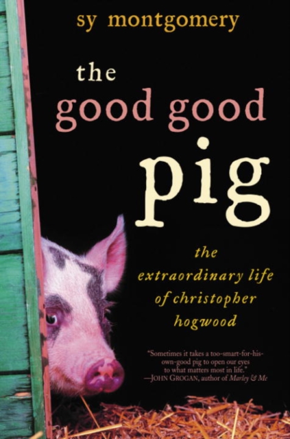 Book Cover for Good Good Pig by Sy Montgomery