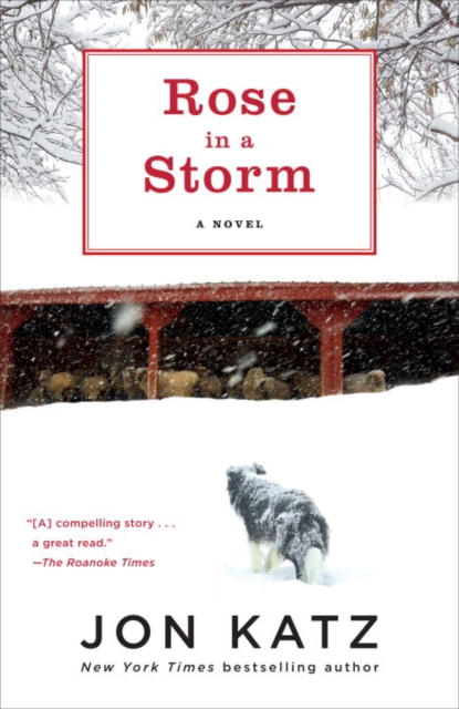 Book Cover for Rose in a Storm by Katz, Jon