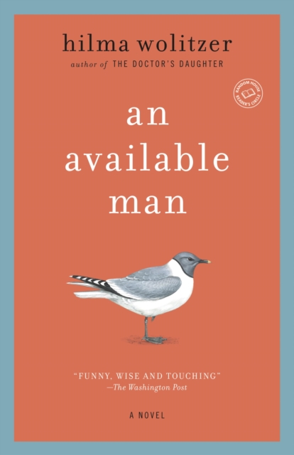 Book Cover for Available Man by Hilma Wolitzer