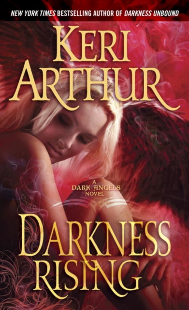 Book Cover for Darkness Rising by Arthur, Keri