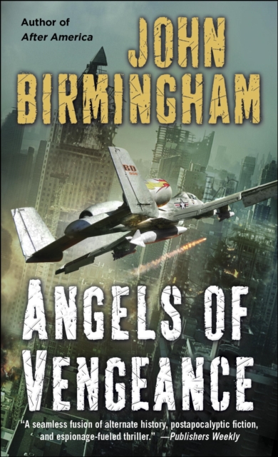 Book Cover for Angels of Vengeance by John Birmingham