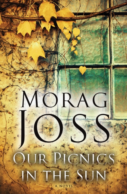 Book Cover for Our Picnics in the Sun by Morag Joss