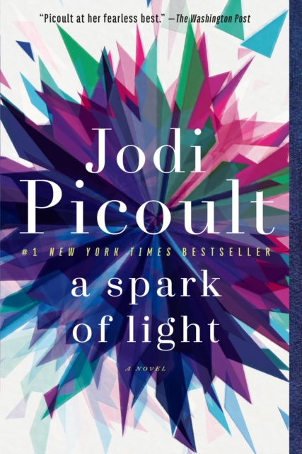 Book Cover for Spark of Light by Picoult, Jodi