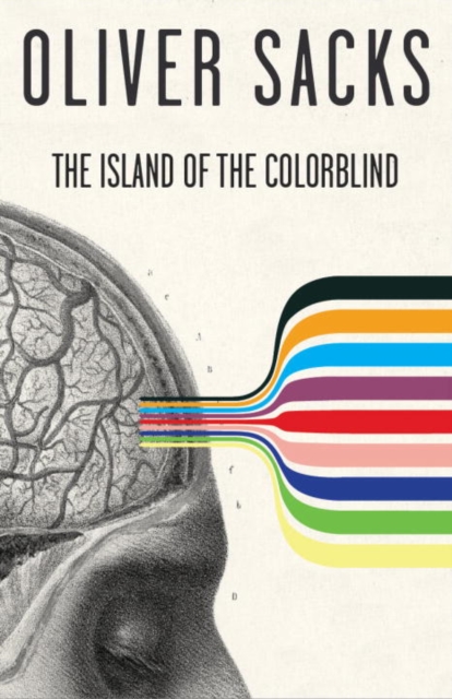 Book Cover for Island of the Colorblind by Oliver Sacks