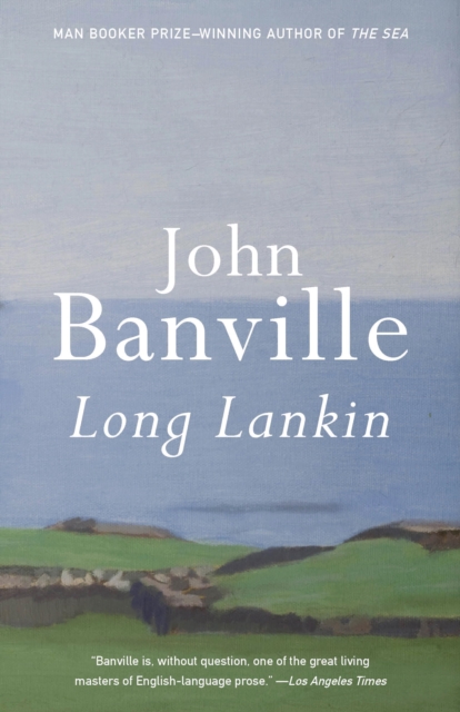 Book Cover for Long Lankin by John Banville