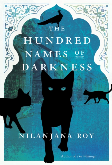 Book Cover for Hundred Names of Darkness by Roy, Nilanjana