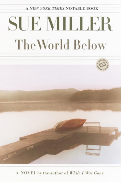 Book Cover for World Below by Sue Miller