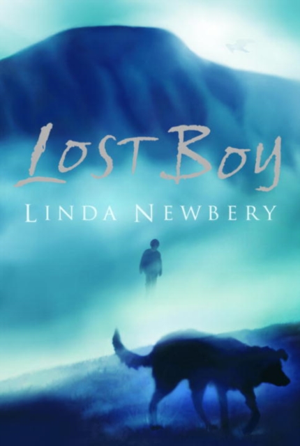 Book Cover for Lost Boy by Linda Newbery