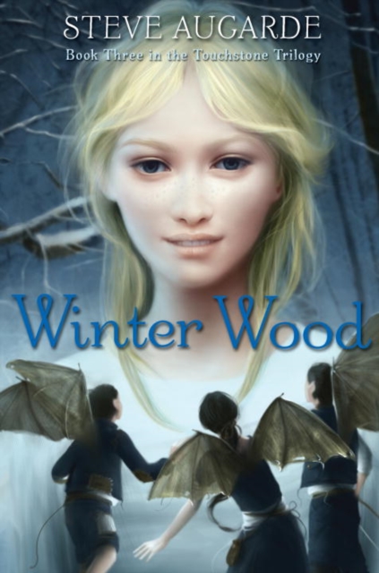 Book Cover for Winter Wood by Augarde, Steve