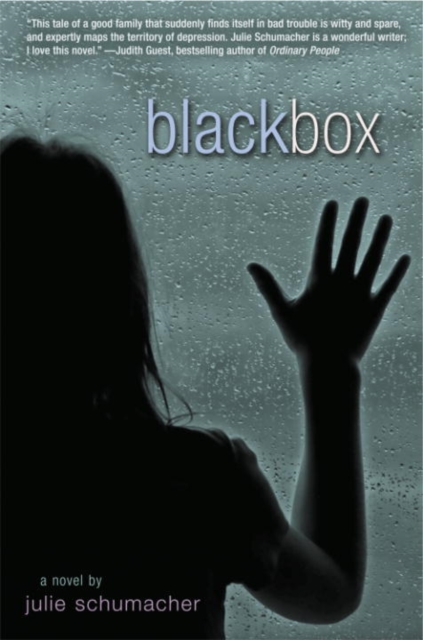Book Cover for Black Box by Julie Schumacher
