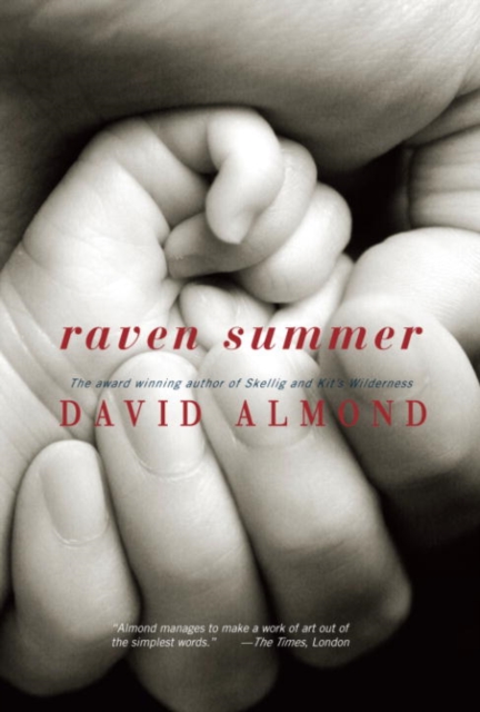Book Cover for Raven Summer by David Almond
