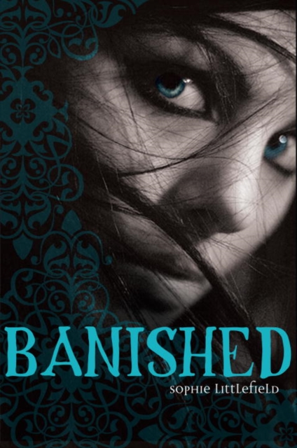 Book Cover for Banished by Sophie Littlefield