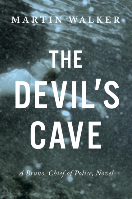 Book Cover for Devil's Cave by Martin Walker