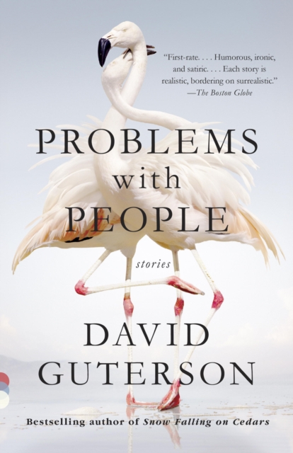 Book Cover for Problems with People by David Guterson