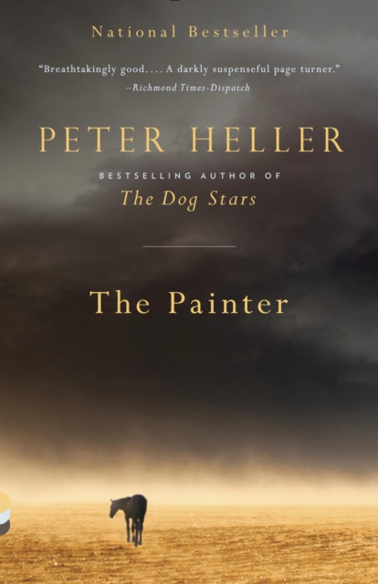 Book Cover for Painter by Peter Heller