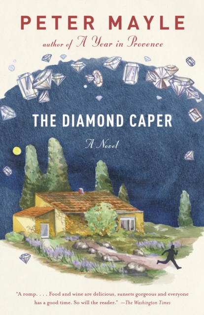 Book Cover for Diamond Caper by Mayle, Peter