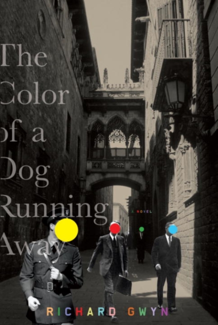 Book Cover for Color of A Dog Running Away by Richard Gwyn