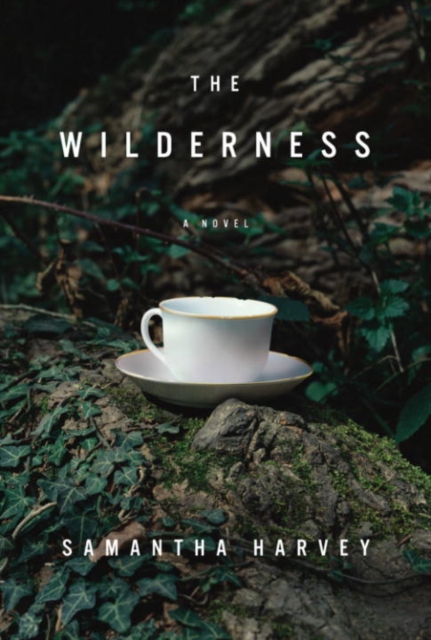 Book Cover for Wilderness by Samantha Harvey