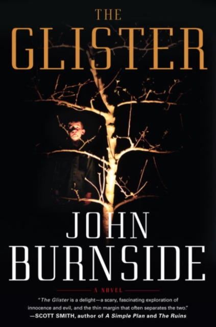 Book Cover for Glister by John Burnside