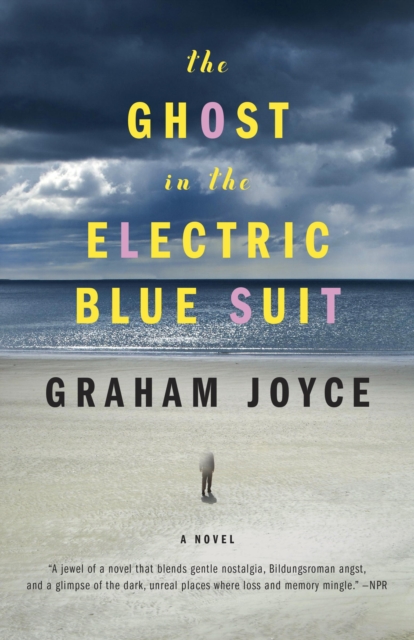 Book Cover for Ghost in the Electric Blue Suit by Graham Joyce