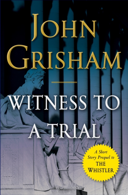 Book Cover for Witness to a Trial by John Grisham