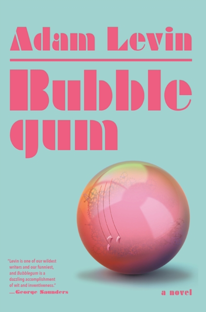 Book Cover for Bubblegum by Adam Levin