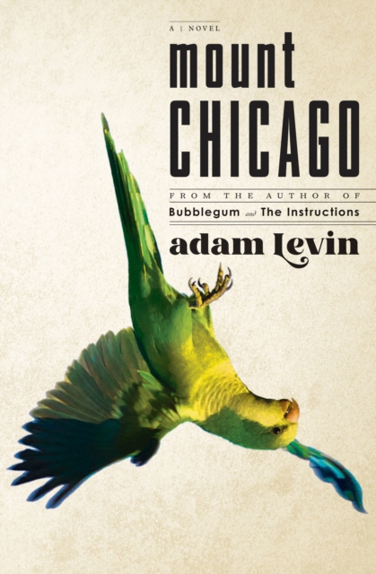 Book Cover for Mount Chicago by Adam Levin