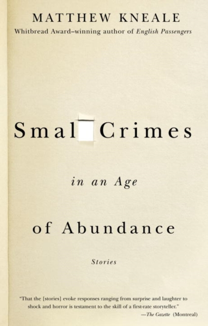 Book Cover for Small Crimes in an Age of Abundance by Matthew Kneale