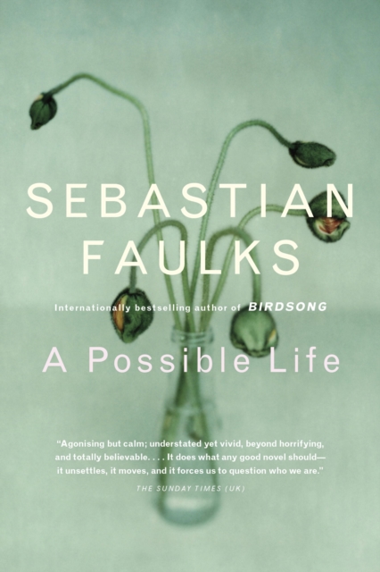 Book Cover for Possible Life by Sebastian Faulks