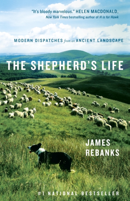 Book Cover for Shepherd's Life by James Rebanks