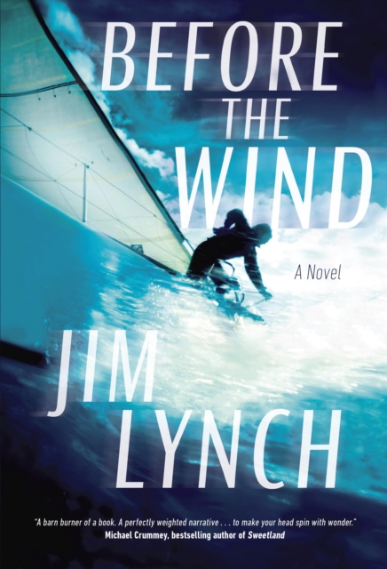 Book Cover for Before the Wind by Jim Lynch