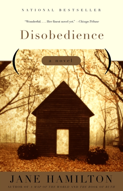 Book Cover for Disobedience by Jane Hamilton