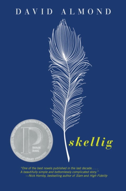 Book Cover for Skellig by David Almond