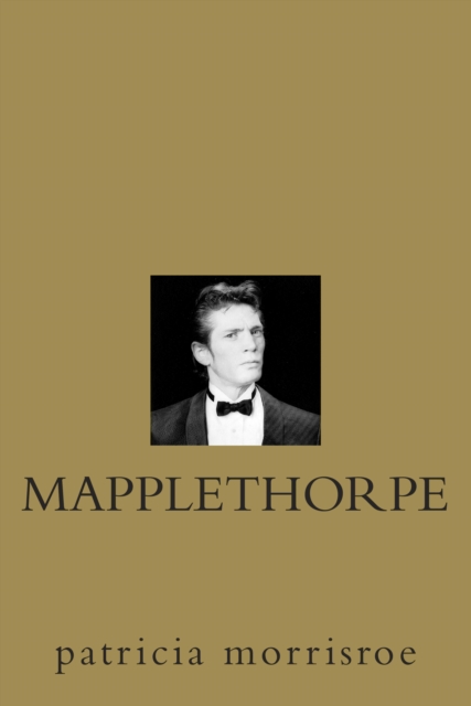 Book Cover for Mapplethorpe by Patricia Morrisroe