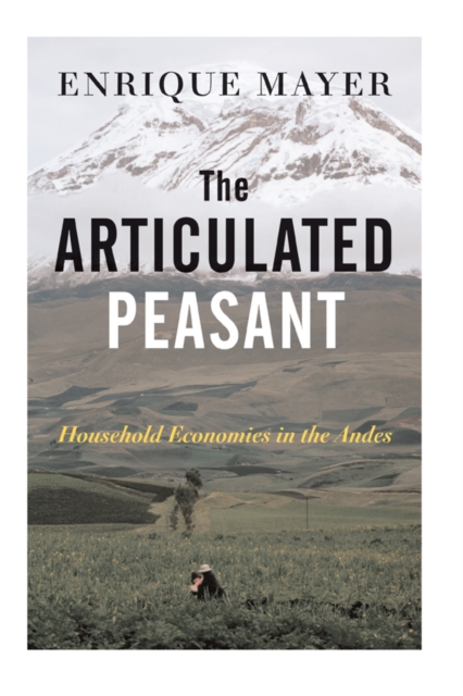 Book Cover for Articulated Peasant by Mayer, Enrique