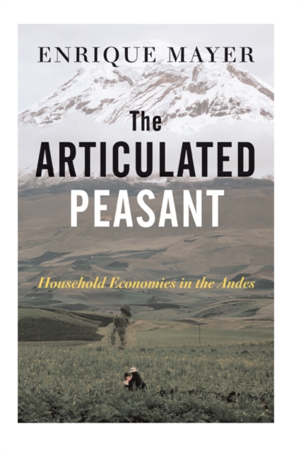 Book Cover for Articulated Peasant by Enrique Mayer