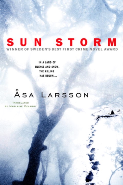 Book Cover for Sun Storm by Asa Larsson